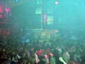 loidestal 054